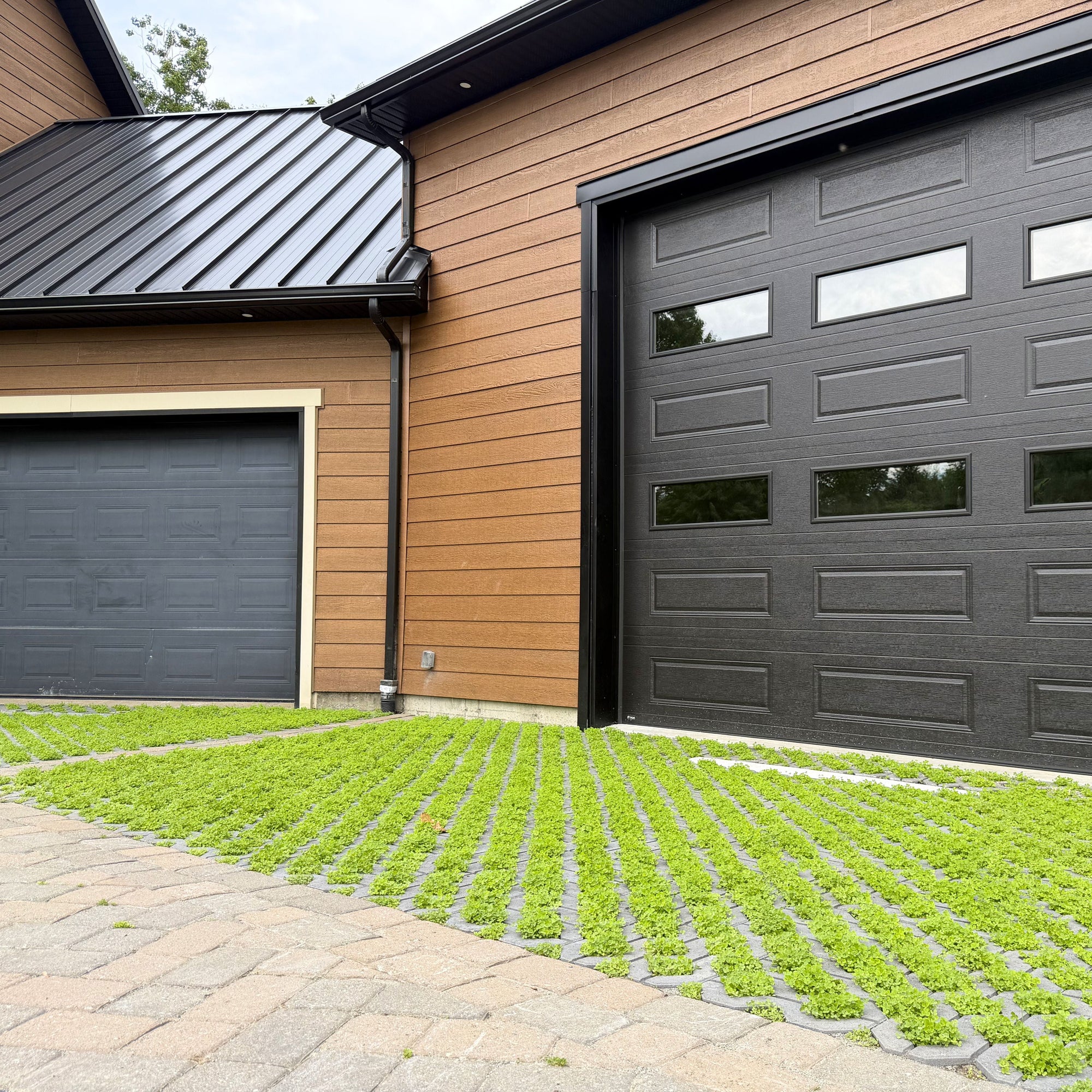 Patio Drummond