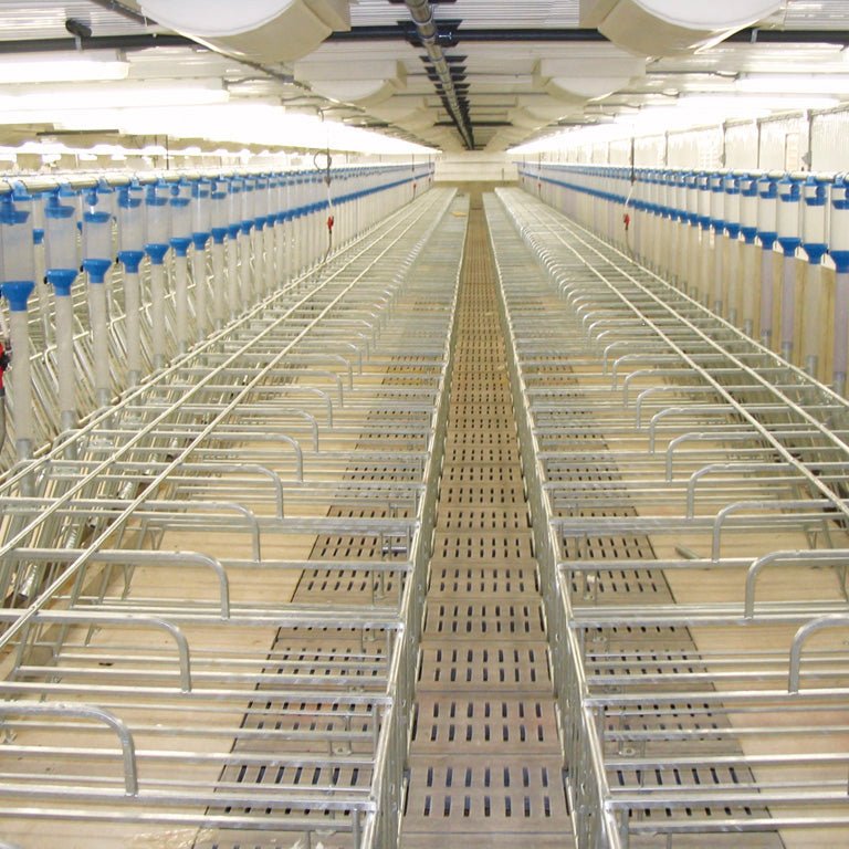 Lattes à cochons - Gestation en cage avec tiroir