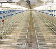 Porcherie - Gestation en cage avec tiroirs