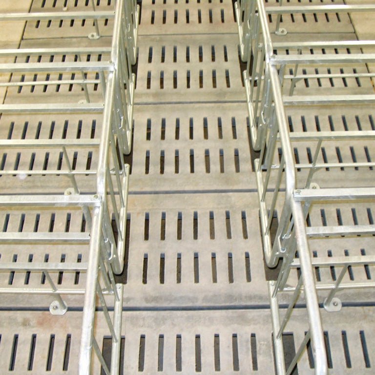 Lattes Gestation simple Patio Drummond