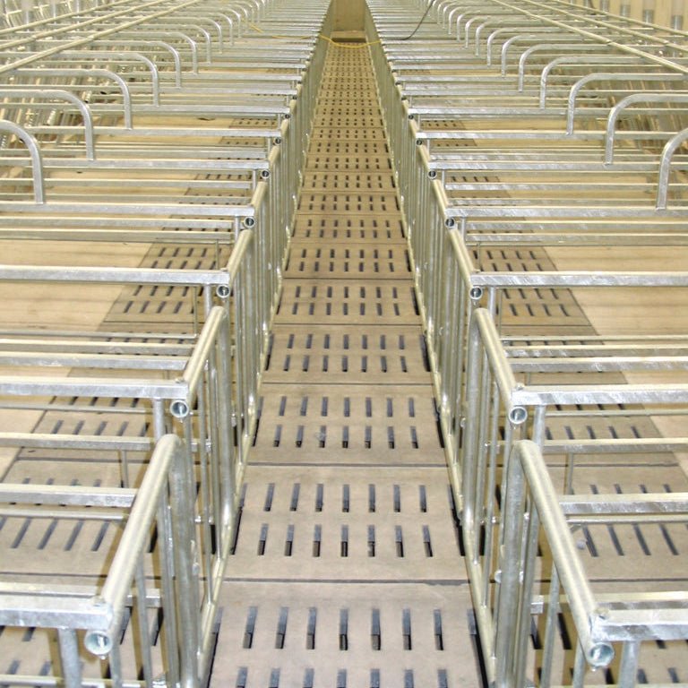 Lattes Gestation simple Patio Drummond