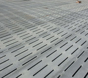 Porcherie - Gestation libre