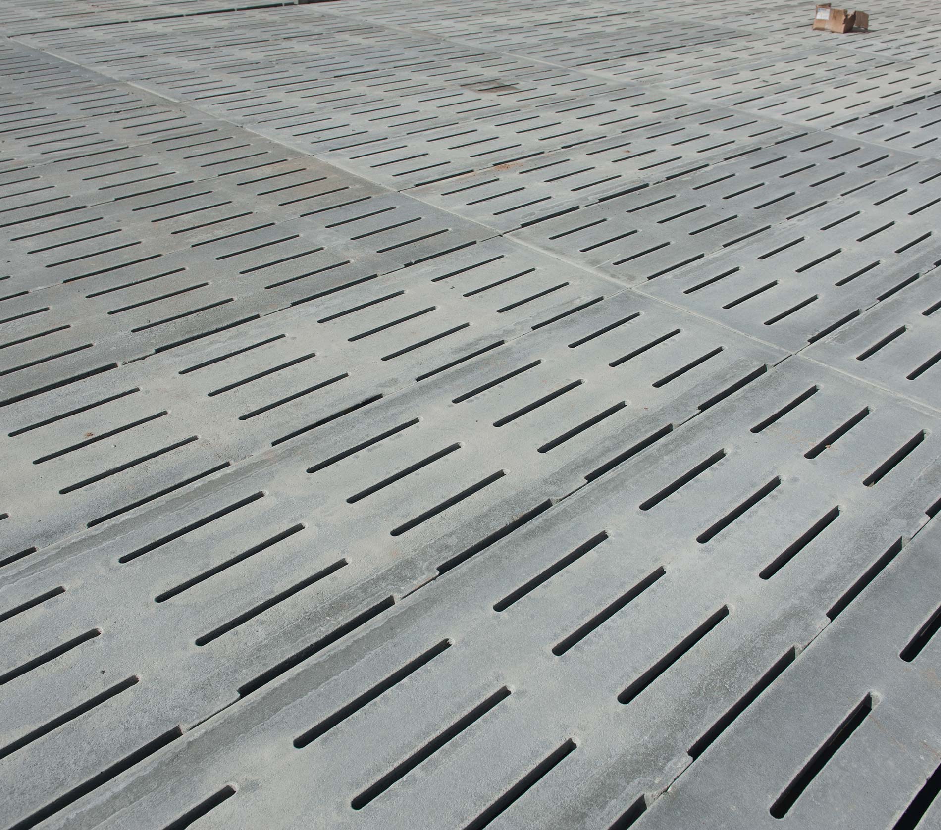 Porcherie - Gestation libre