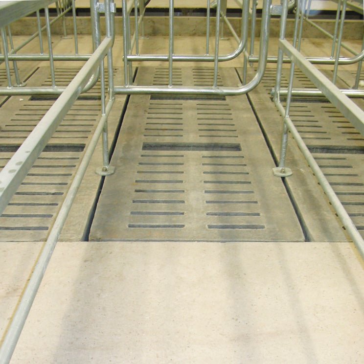 Lattes à cochons - Gestation en cage avec tiroir