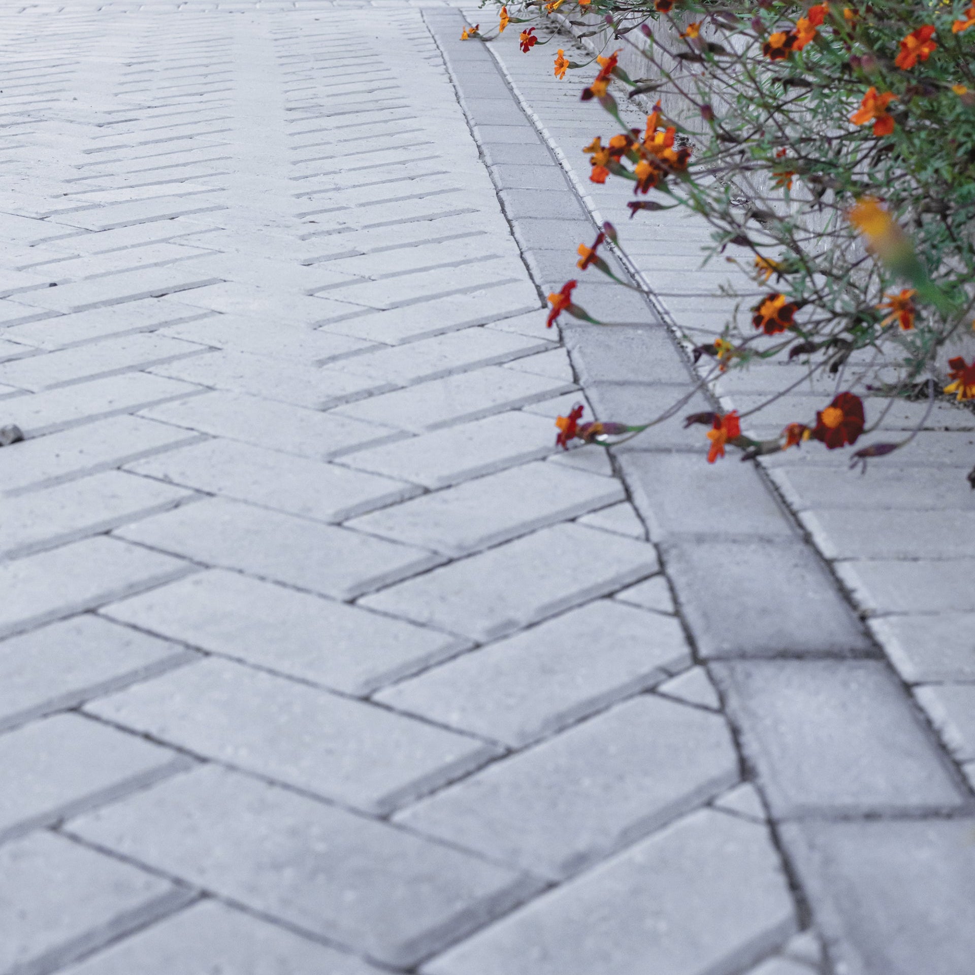 Interpavé Patio Drummond