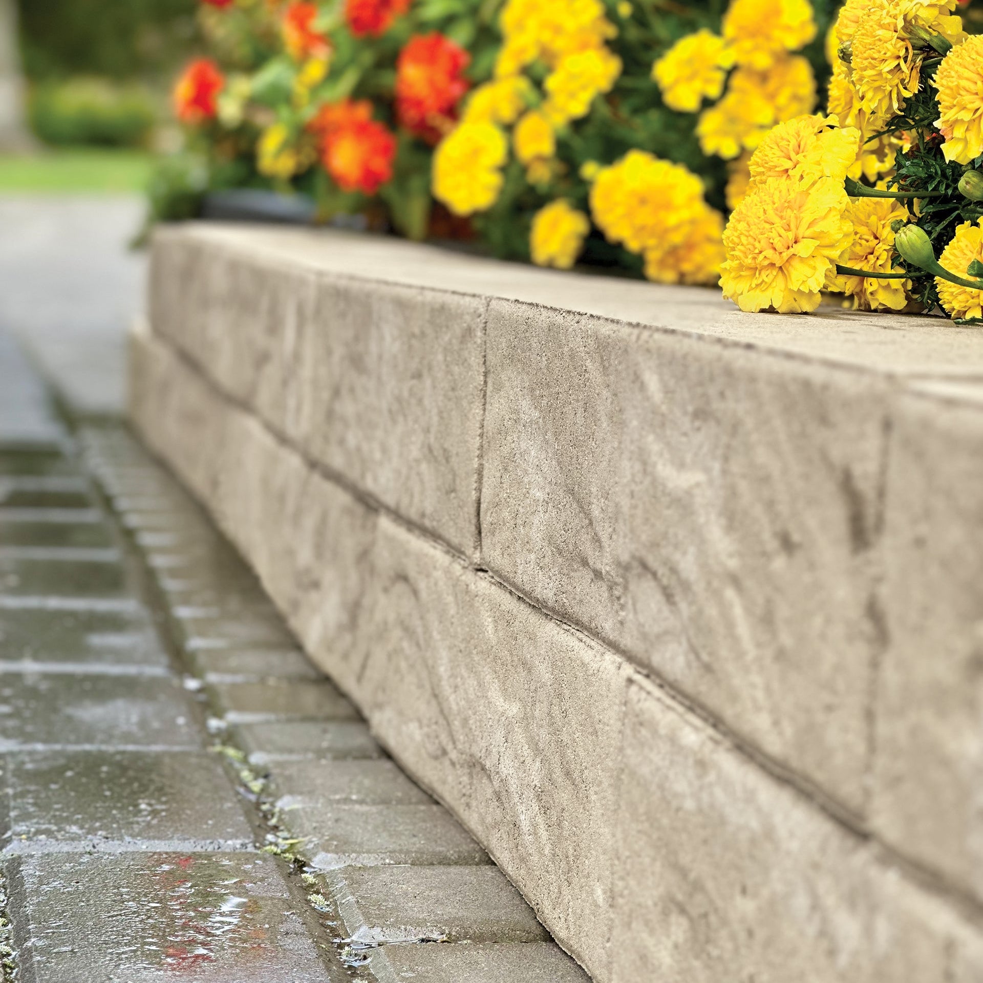 Muret Moderno Patio Drummond