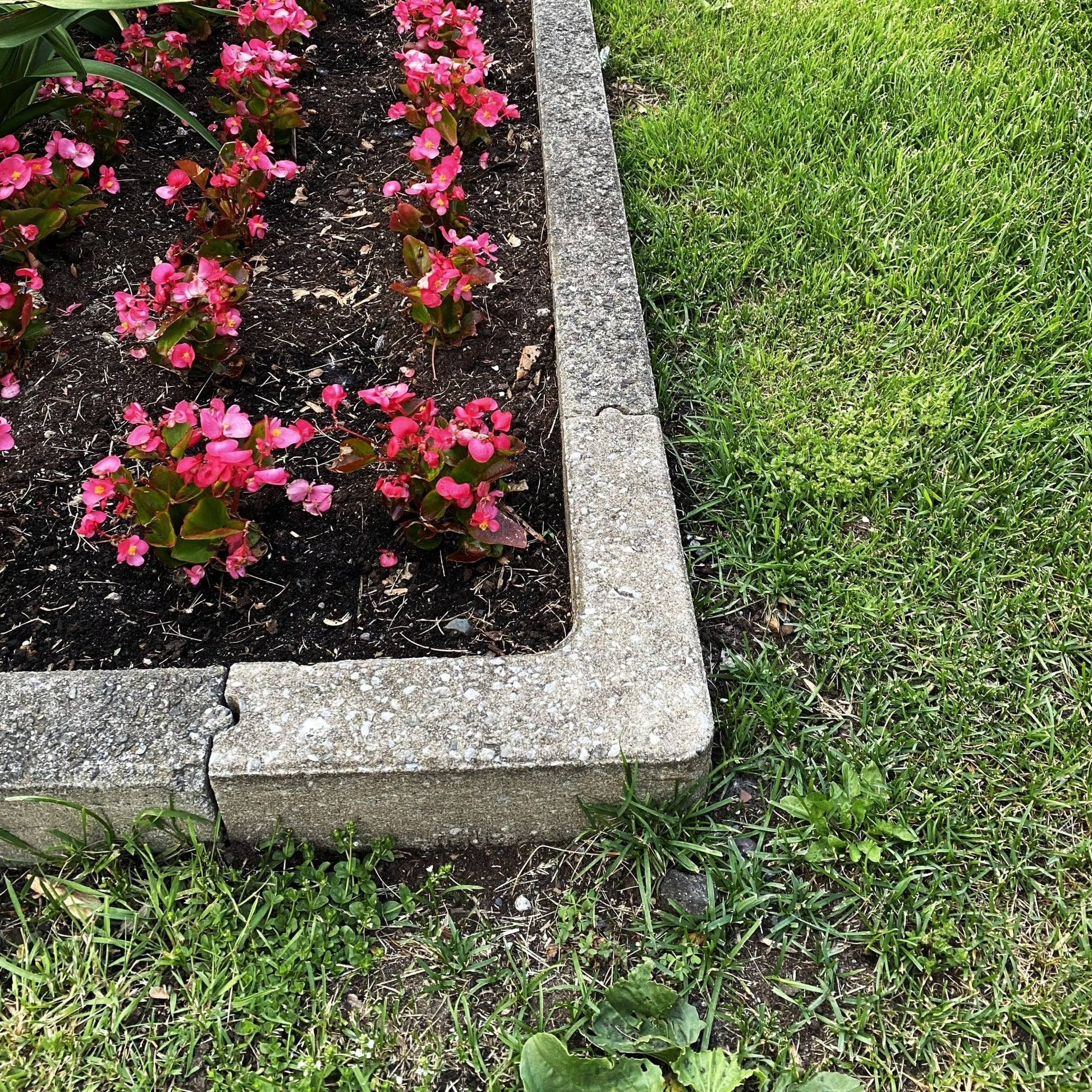Bordure coin Patio Drummond 