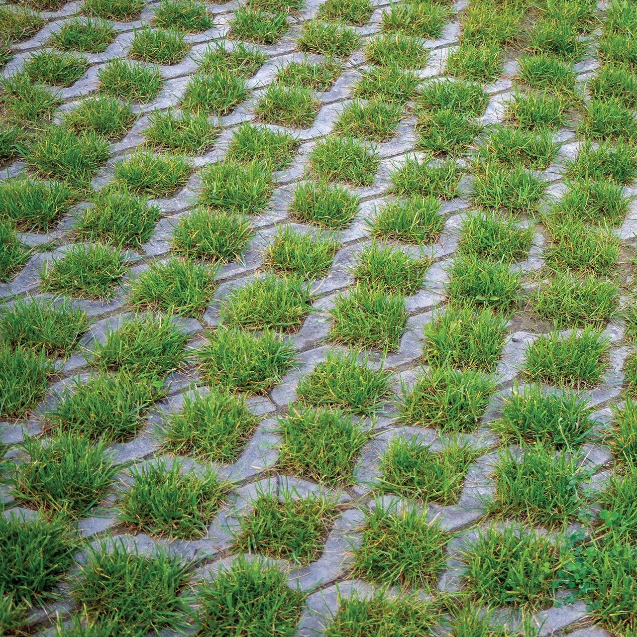 Dalle à gazon Patio Drummond