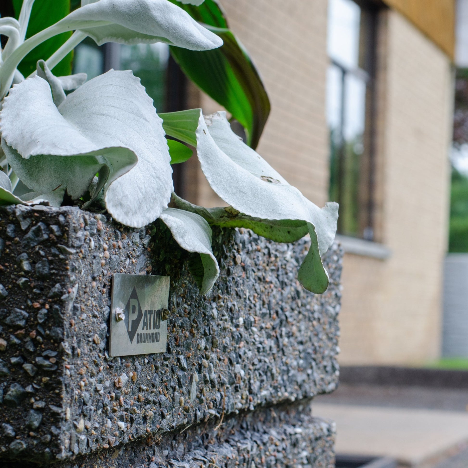 Bac à fleur Ekla Patio Drummond
