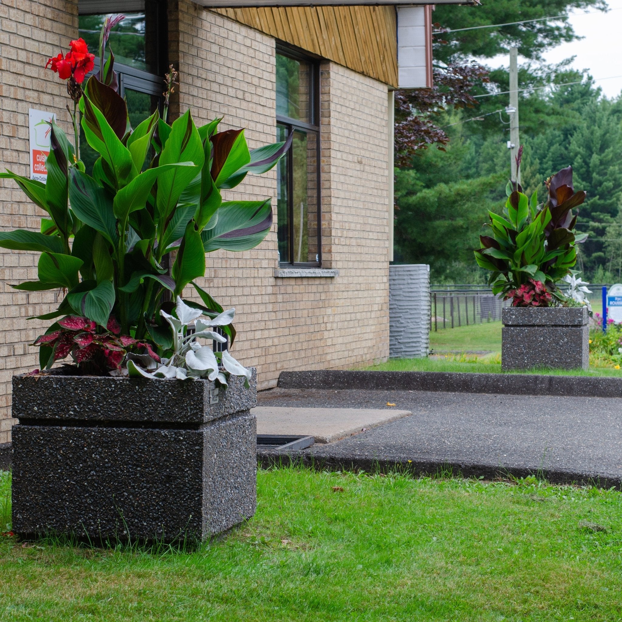 Bac à fleur Ekla Patio Drummond