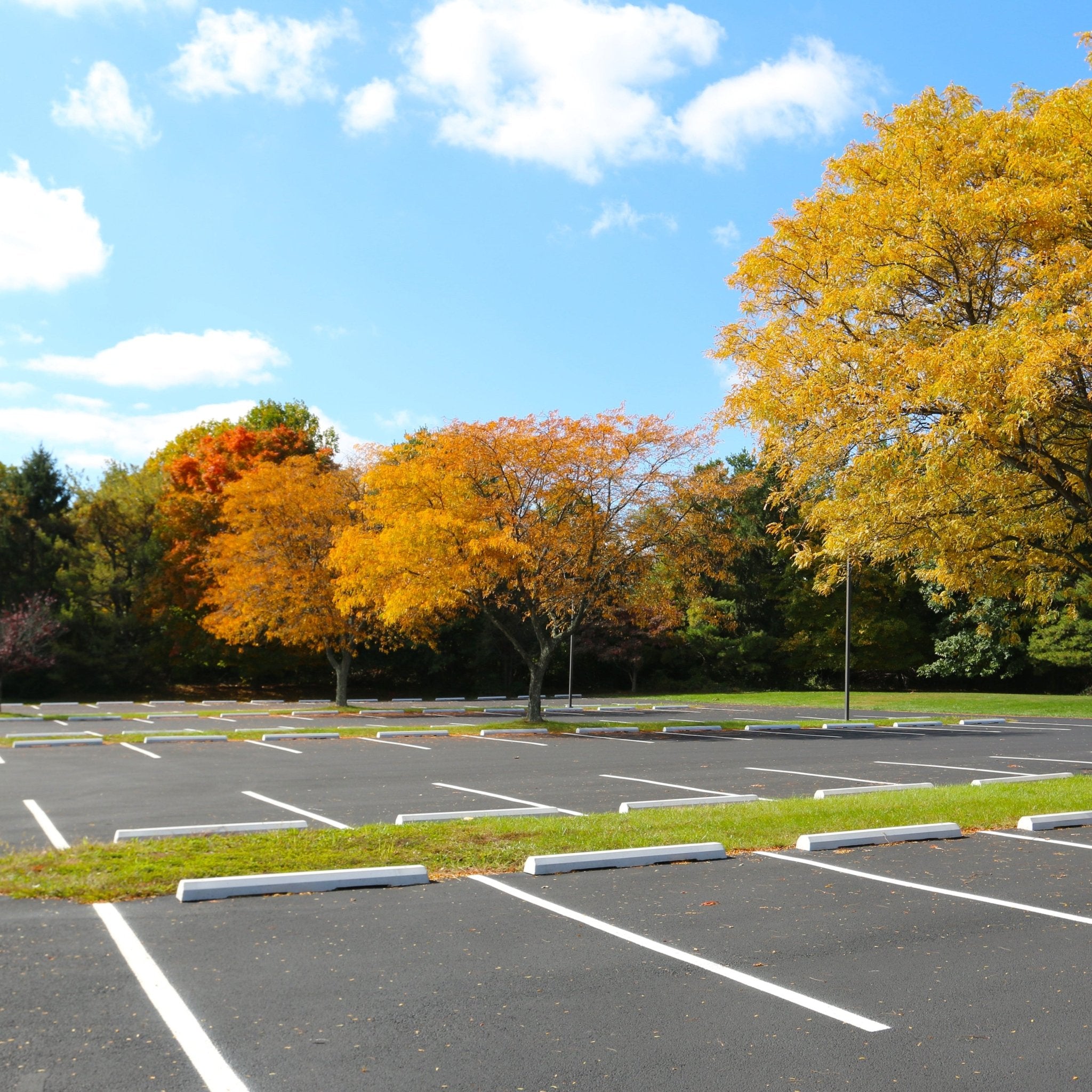Butoirs de stationnement Patio Drummond