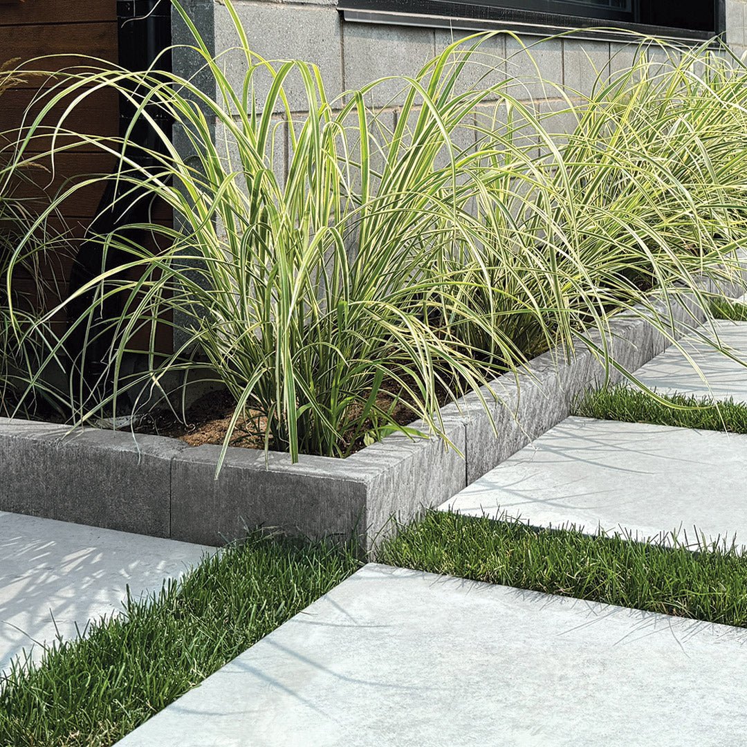 Bordure coin Patio Drummond 