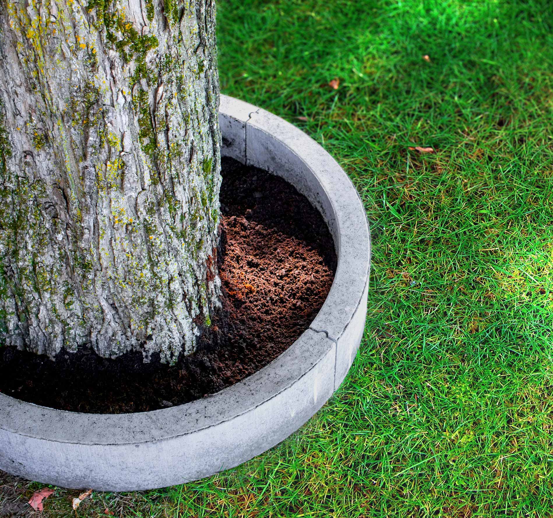 Bordure Rayon universelle