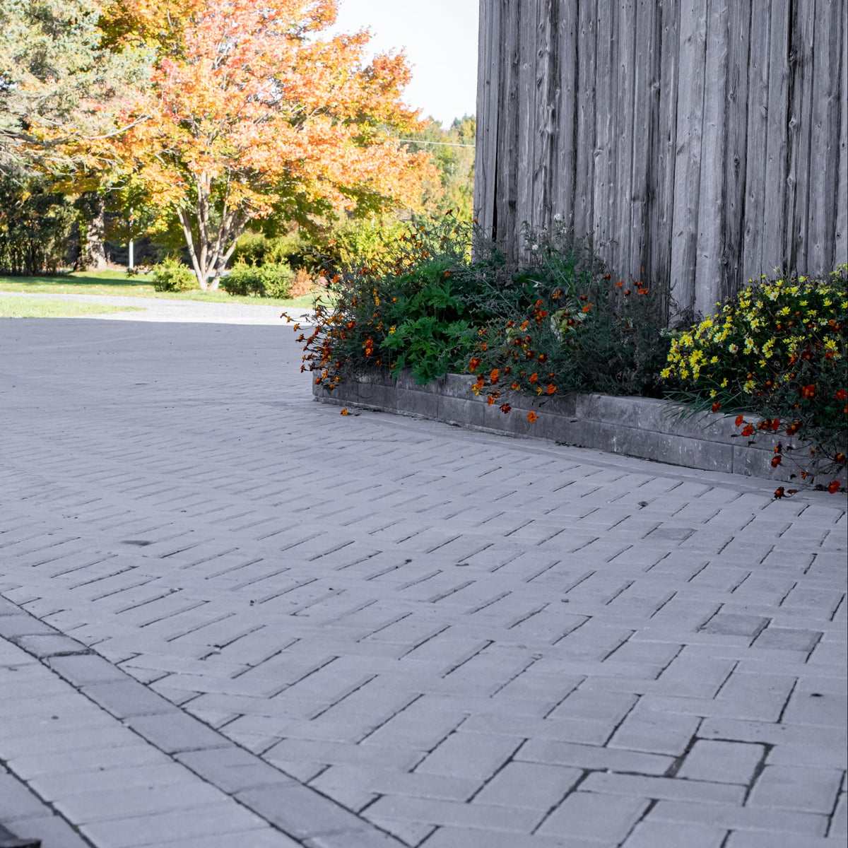 Interpave Pavé uni pour entrée de maison pas cher – Patio Drummond
