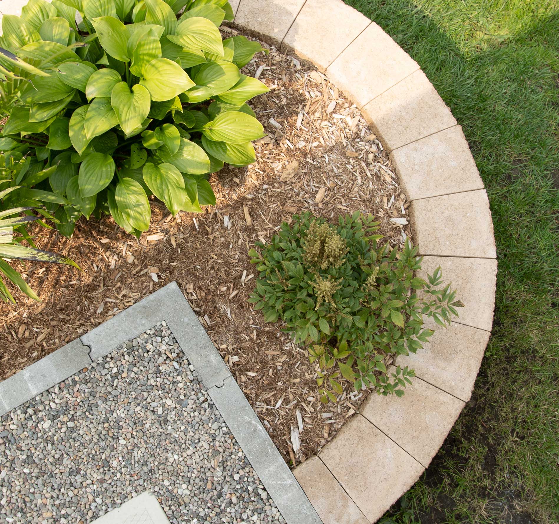 Bordure Coin universelle