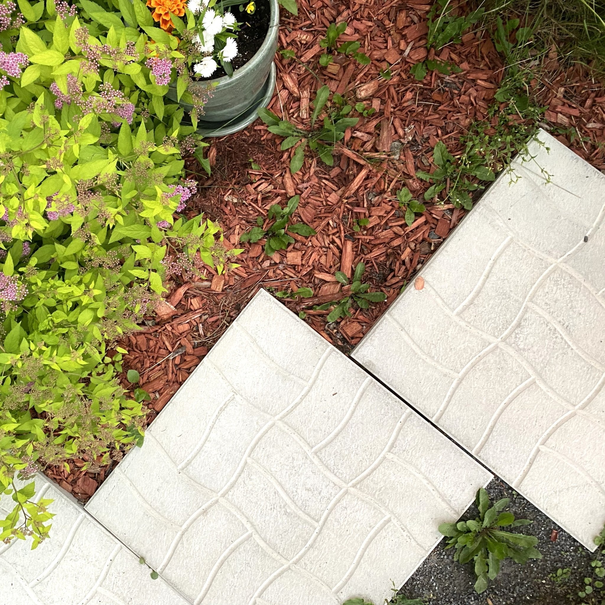Dalle Pavé Patio Drummond 