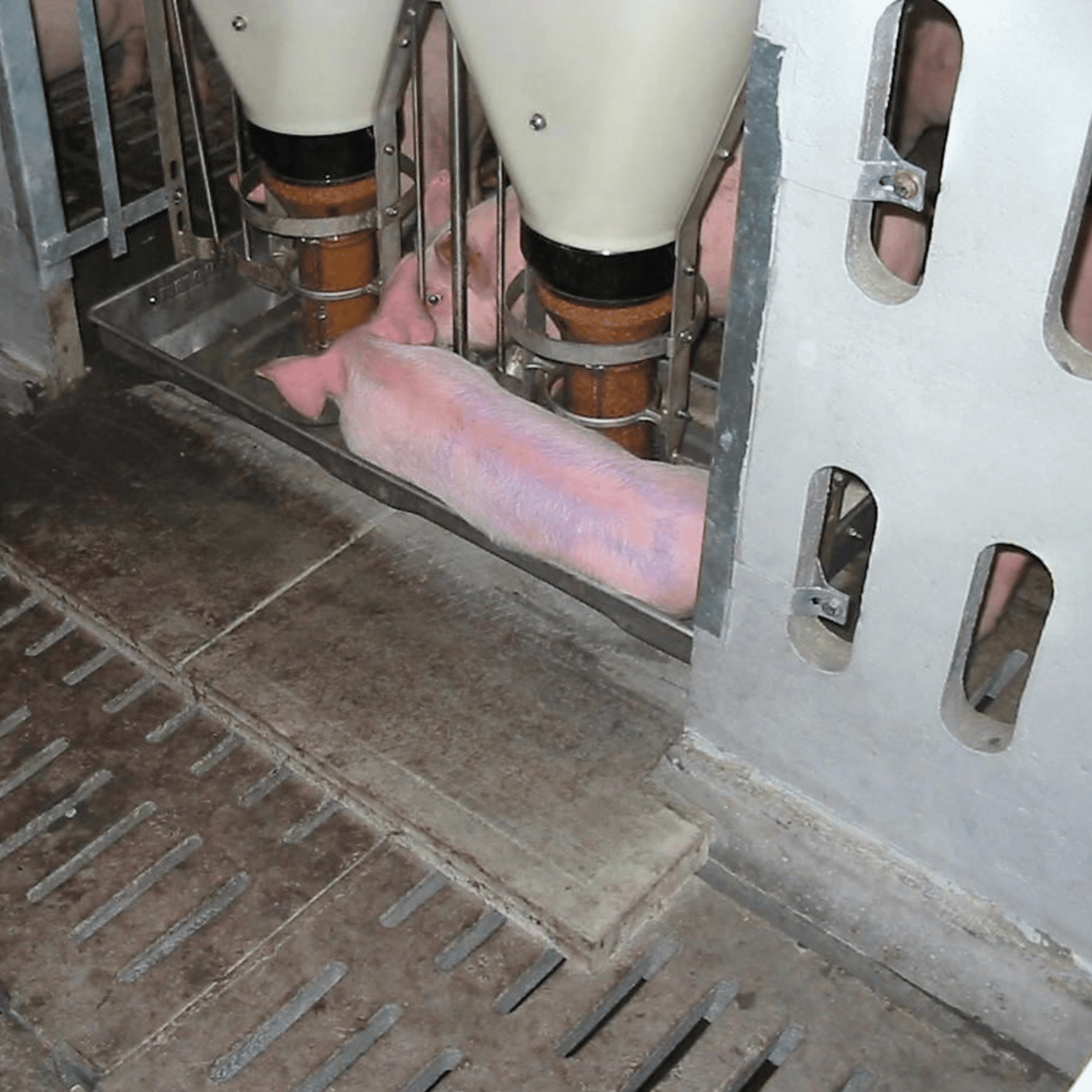 Dalle de trémie Patio Drummond