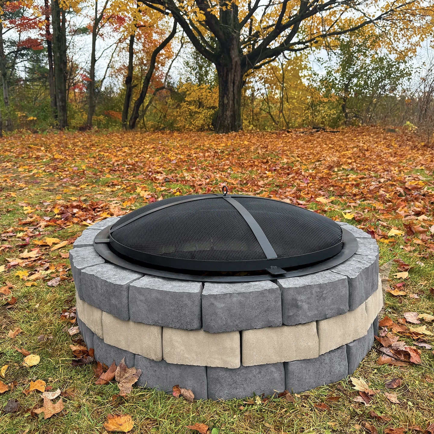 Foyer Viva Patio Drummond