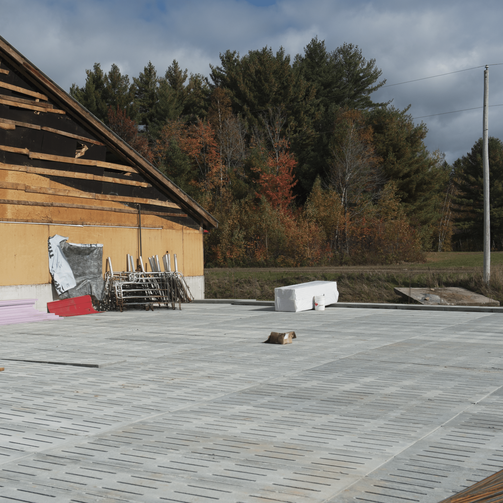 Lattes de gestation libre 