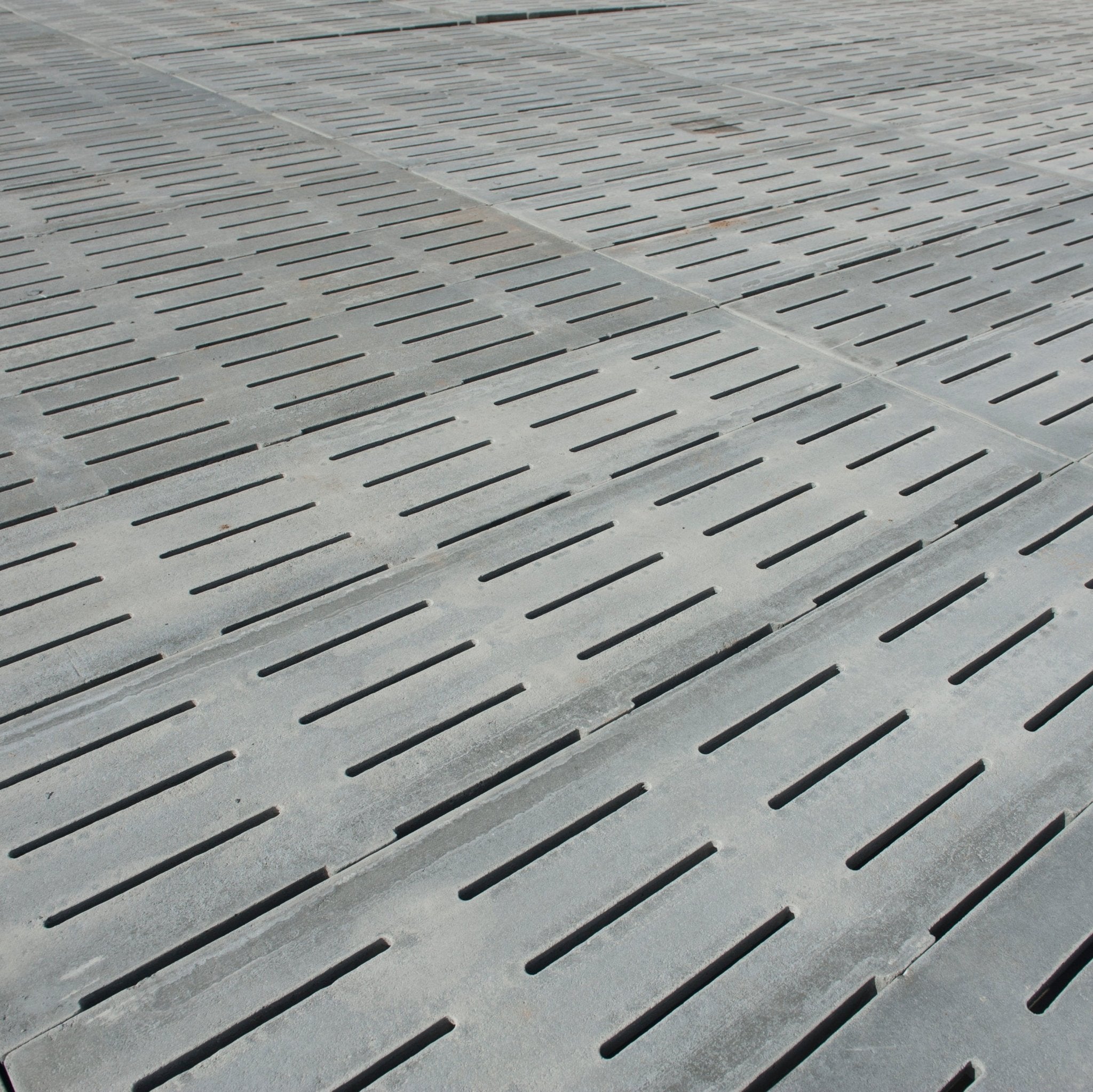 Lattes de gestation libre 