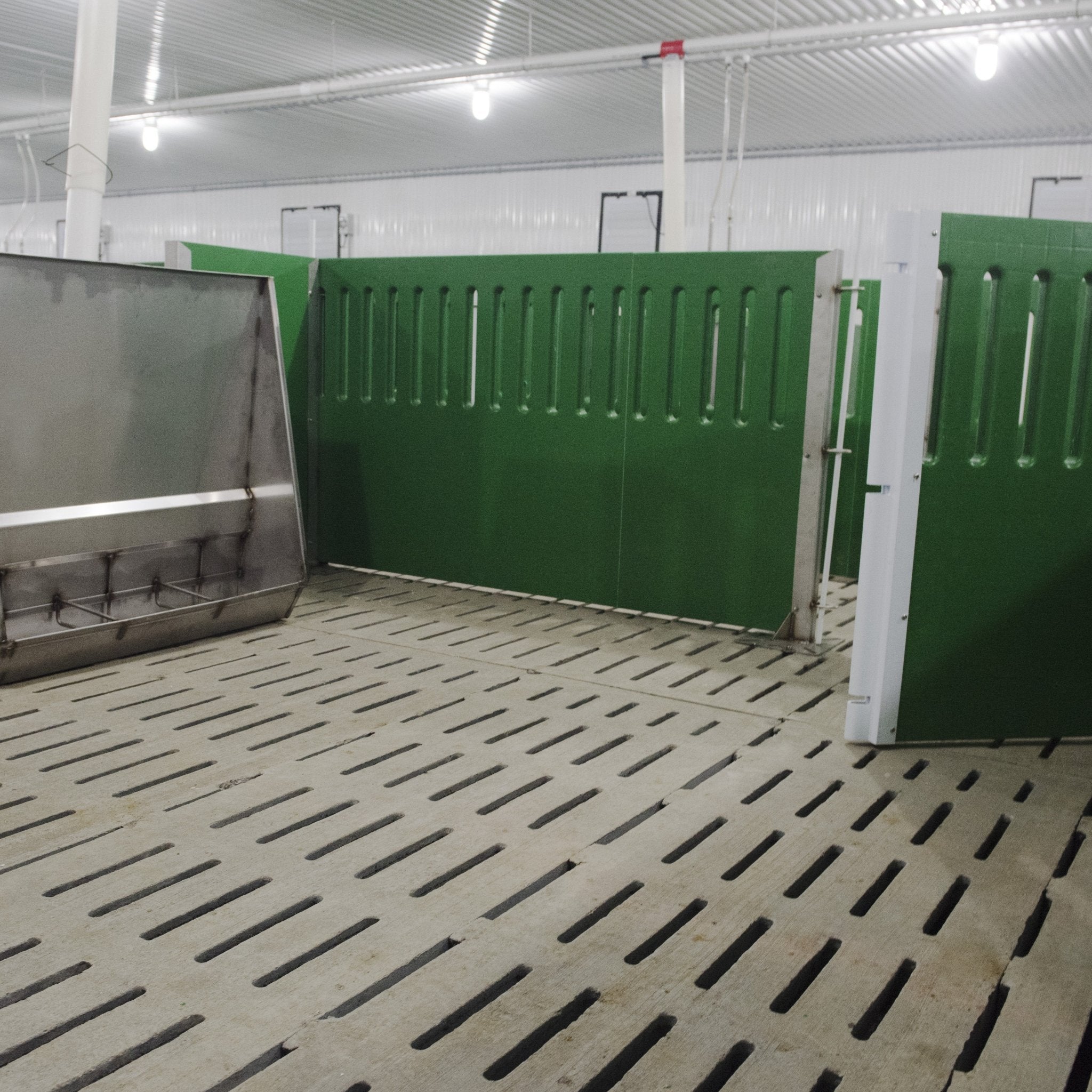 Lattes cochons Patio Drummond