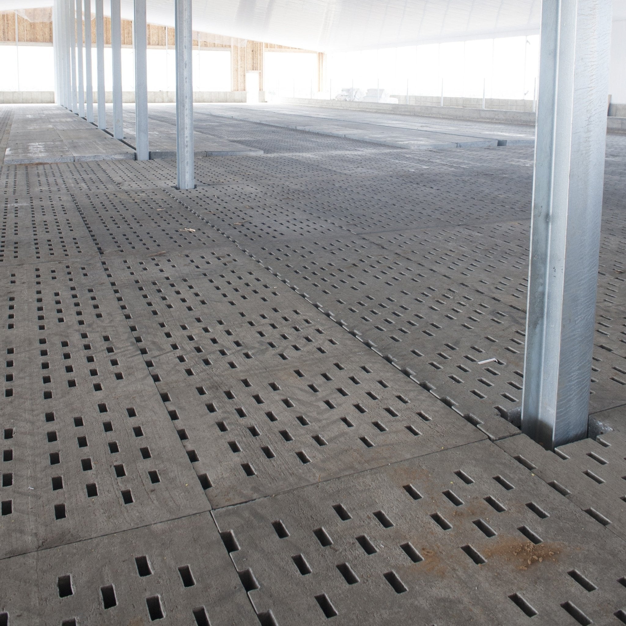 Lattes de vaches Patio Drummond