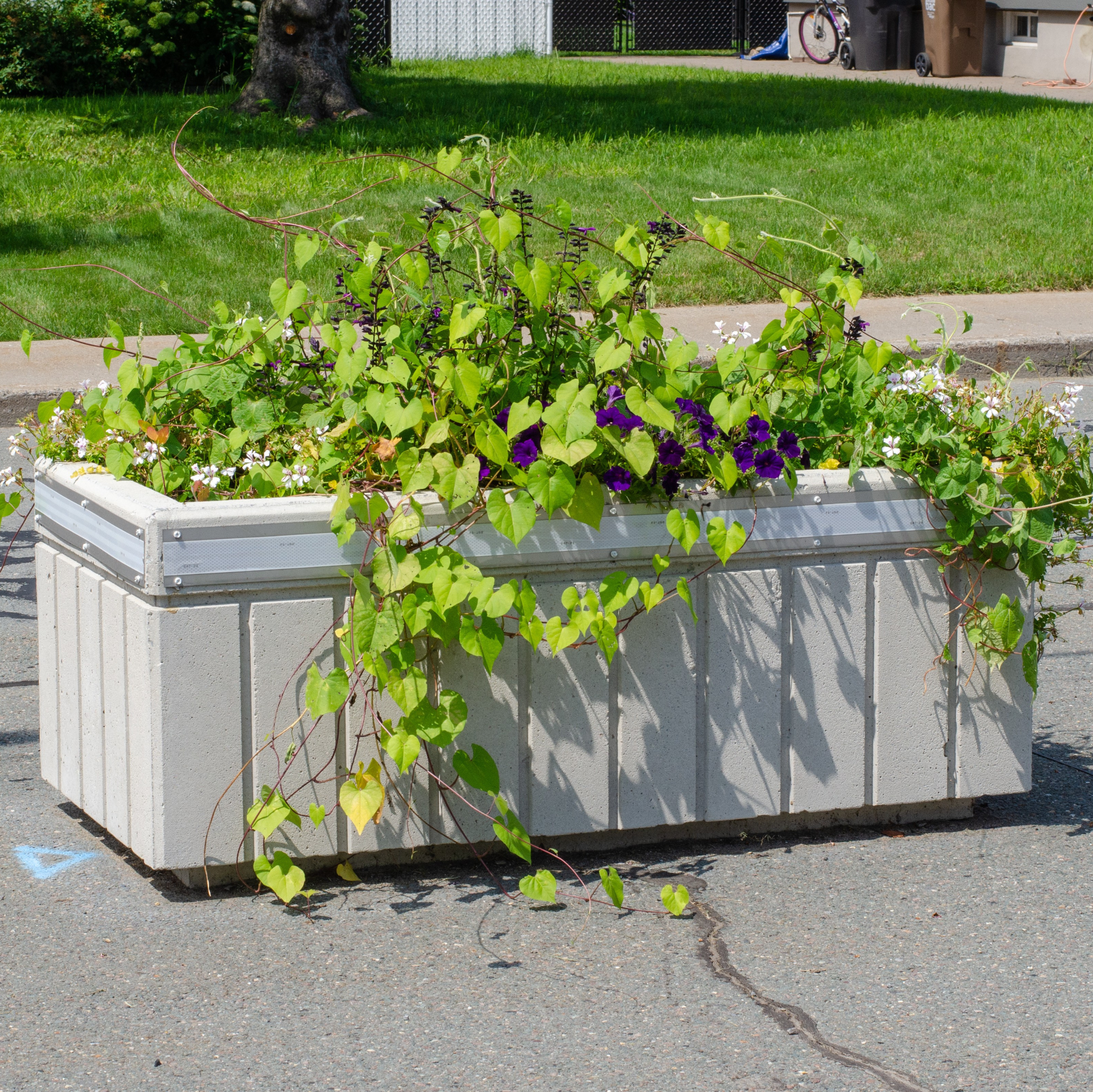 Bac à fleur Strata Patio Drummond